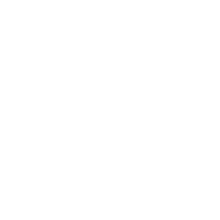 Scientific Management Techniques, Inc.